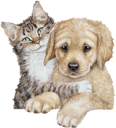 chien et chat